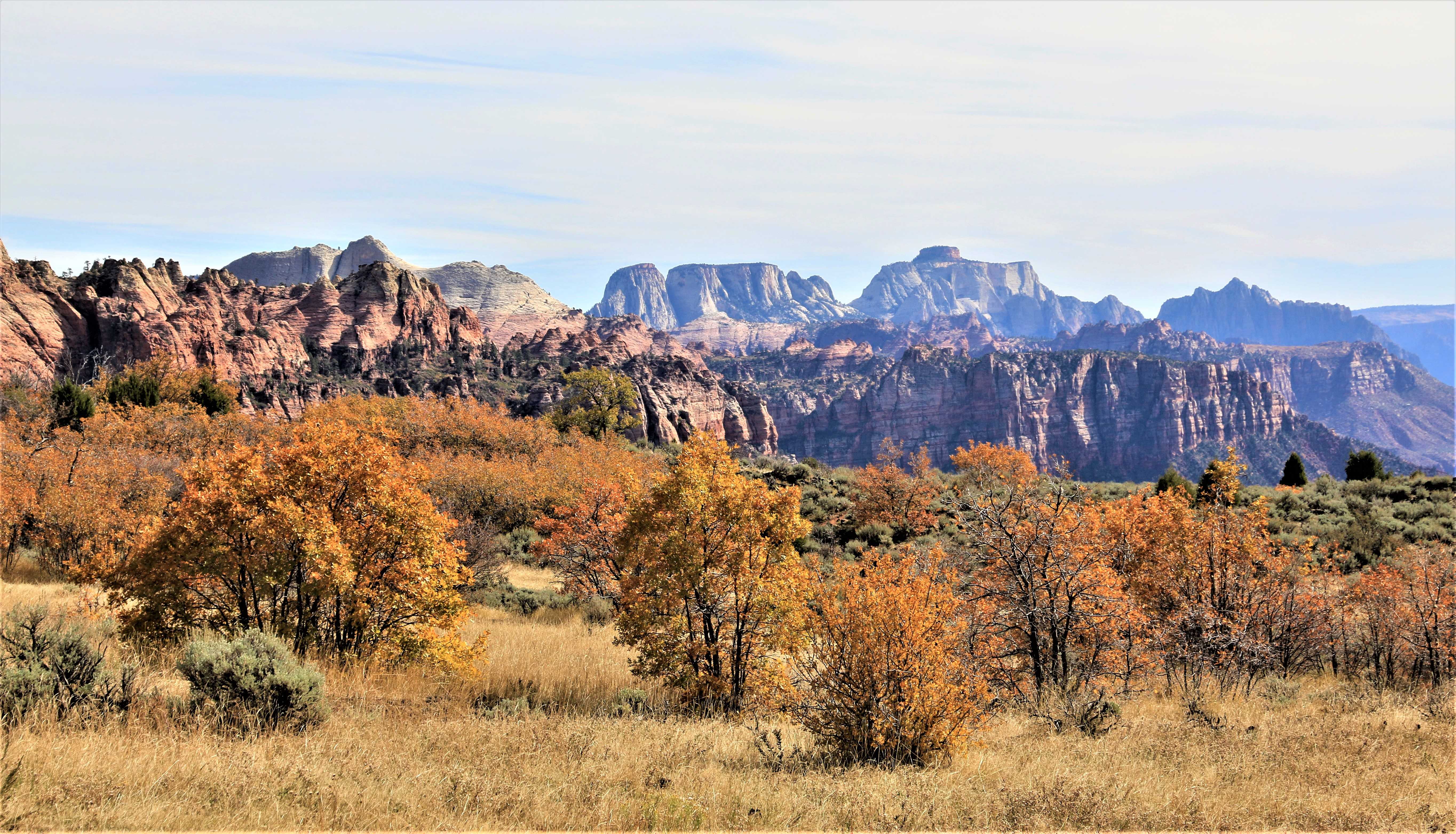 Zion NP